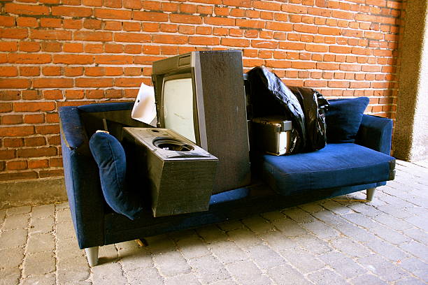 Best Trash Removal Near Me  in Third Lake, IL